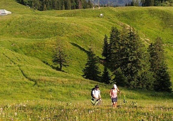 two people walking in a grass field