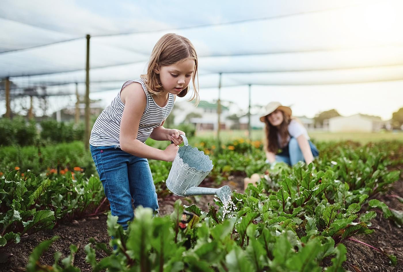 Girl watering plantation